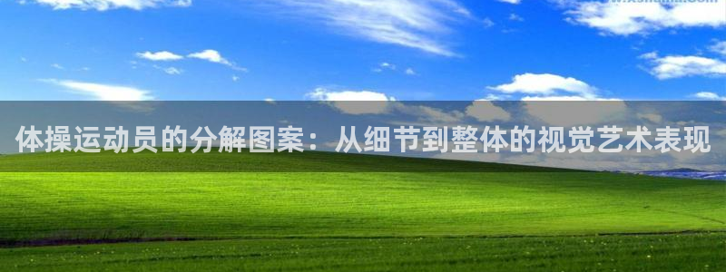 杏悦代理：体操运动员的分解图案：从细节到整体的视觉艺术表现