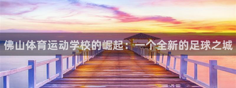 意昂3登录：佛山体育运动学校的崛起：一个全新的足球之城