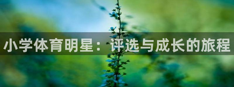 意昂工课