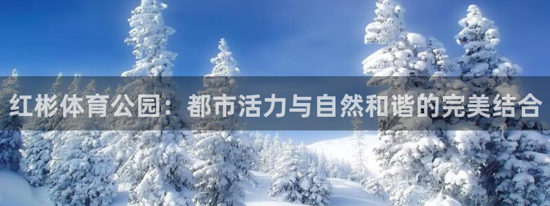意昂官网注册：红彬体育公园：都市活力与自然和谐的完美结合