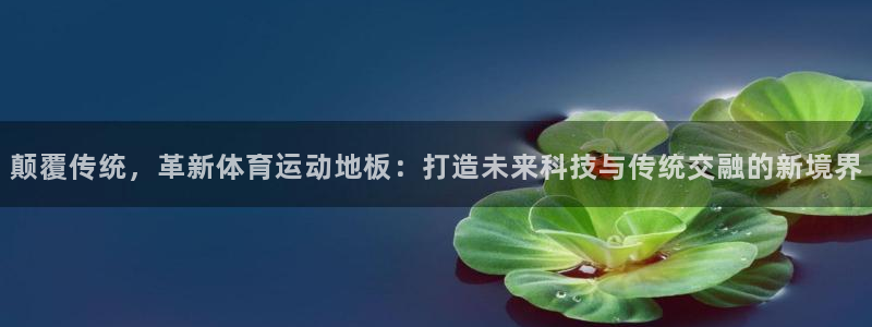 杏悦零能源集团：颠覆传统，革新体育运动地板：打造未来科技与传统交融的新境界