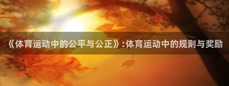 杏悦体育网页版入口：《体育运动中的公平与公正》:体育运动中的规则与奖励