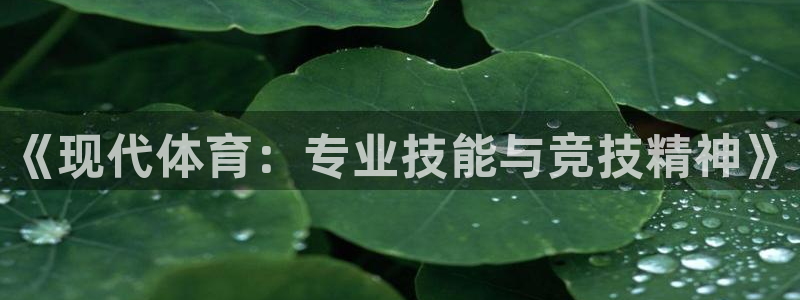 杏悦体育官网