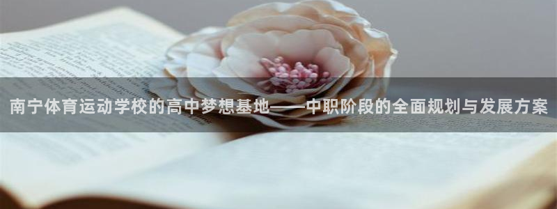 杏悦体育平台总代理