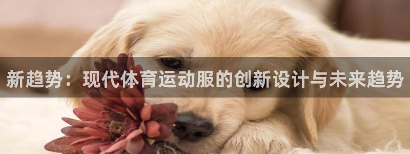 杏悦平台：新趋势：现代体育运动服的创新设计与未来趋势