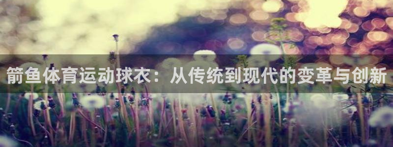 杏悦2平台注册：箭鱼体育运动球衣：从传统到现代的变革与创新
