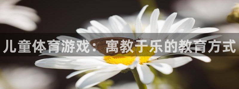 杏悦3注册：儿童体育游戏：寓教于乐的教育方式