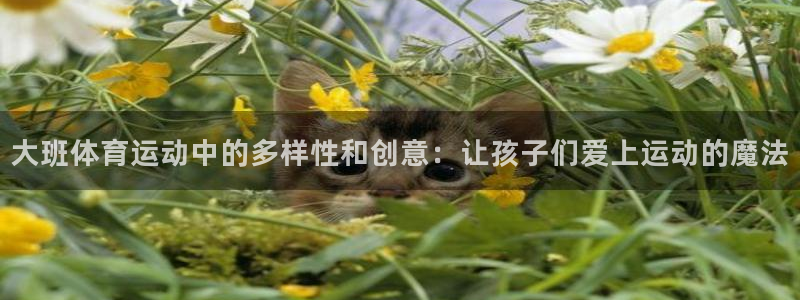 杏悦体育凯捷平台主管：大班体育运动中的多样性和创意：让孩子们爱上运动的魔法