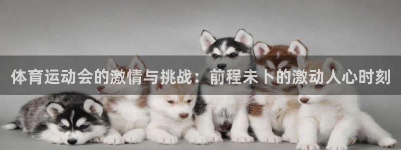 杏悦3官网登录：体育运动会的激情与挑战：前程未卜的激动人心时刻