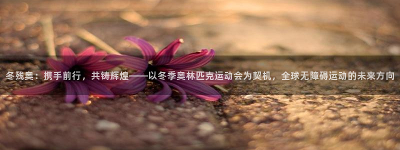 杏悦5招商：冬残奥：携手前行，共铸辉煌——以冬季奥林匹克运动会为契机，全球无障碍运动的未来方向