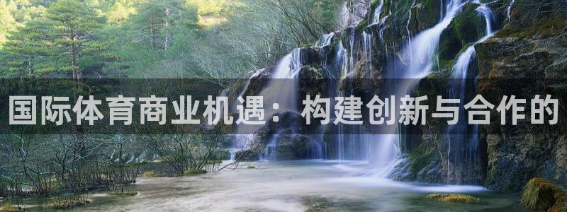 杏悦集团股票：国际体育商业机遇：构建创新与合作的