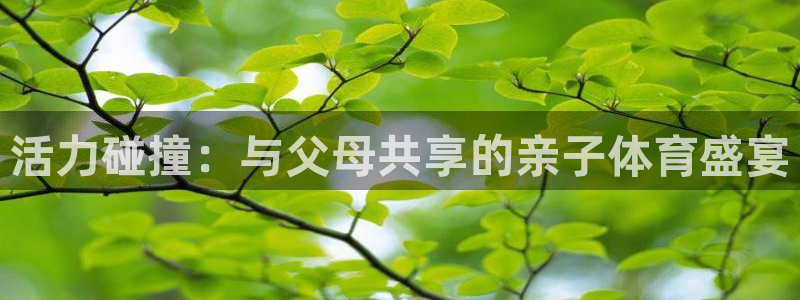 意昂集团股票：活力碰撞：与父母共享的亲子体育盛宴