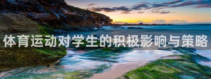 杏悦体育2官网入口：体育运动对学生的积极影响与策略