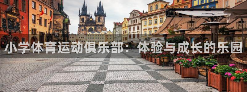 杏悦登录：小学体育运动俱乐部：体验与成长的乐园