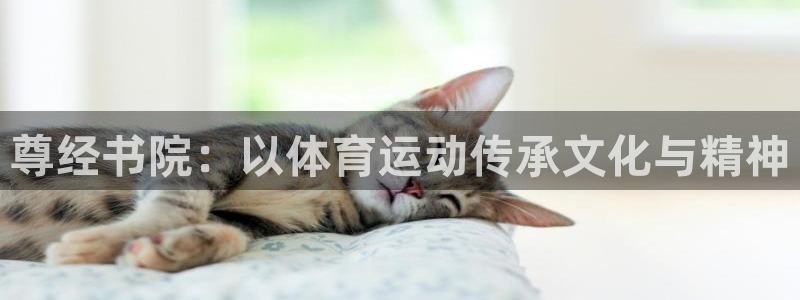 杏悦3官网：尊经书院：以体育运动传承文化与精神