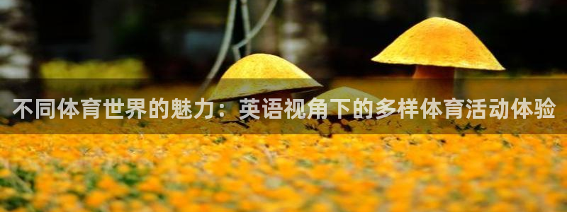 杏悦体育3在线注册：不同体育世界的魅力：英语视角下的多样体育活动体验