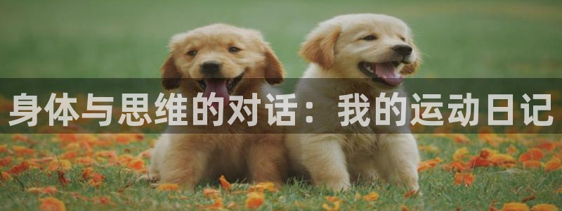 意昂：身体与思维的对话：我的运动日记