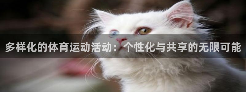意昂3登录：多样化的体育运动活动：个性化与共享的无限可能