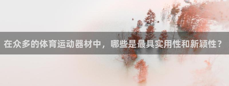 杏悦集团官网：在众多的体育运动器材中，哪些是最具实用性和新颖性？