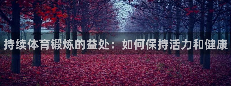 杏悦体育2官网入口：持续体育锻炼的益处：如何保持活力和健康