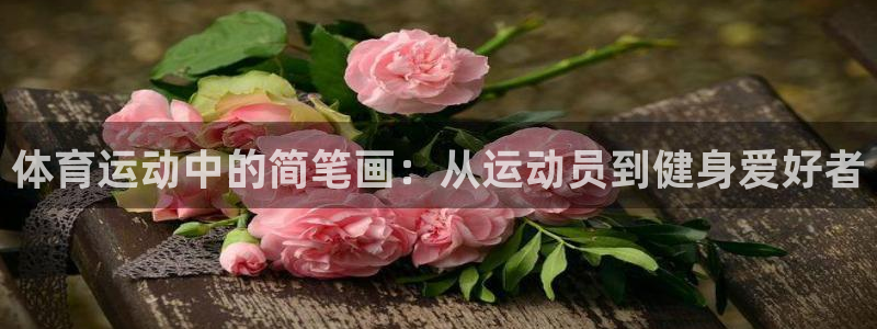 意昂包：体育运动中的简笔画：从运动员到健身爱好者