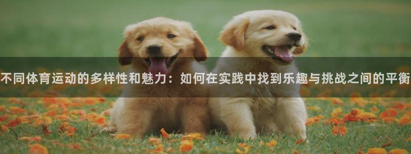 杏悦体育官网登录：不同体育运动的多样性和魅力：如何在实践中找到乐趣与挑战之间的平衡