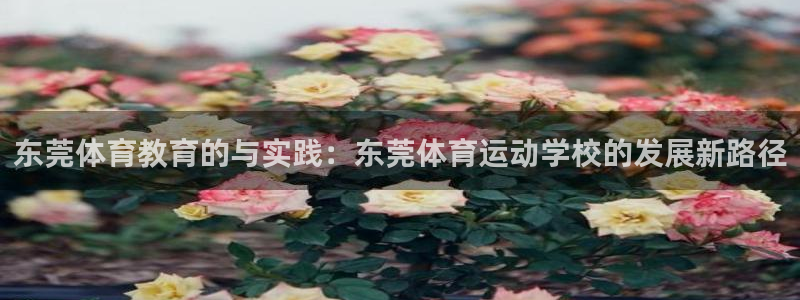 杏悦招商：东莞体育教育的与实践：东莞体育运动学校的发展新路径