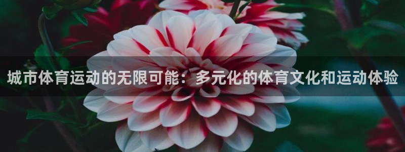 意昂集团：城市体育运动的无限可能：多元化的体育文化和运动体验